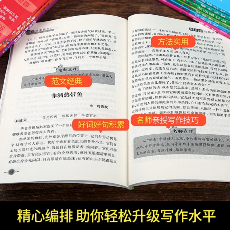 초등학생들은 쉽게 좋은 에세이를 작성하고 최고의 점수를 얻을 수 있습니다. 상상력 넘치는 에세이 전체 목록