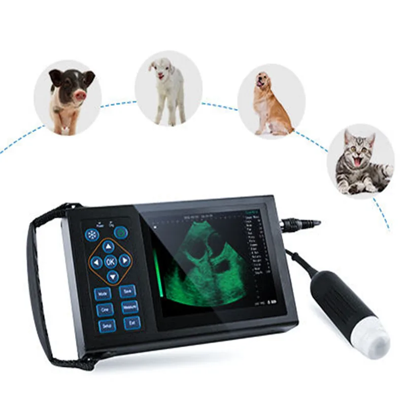 Hand Held Medical Diagnosis Farm And Pet Clinic B/W Ultrasound Machine Portable Veterinary Ultrasound