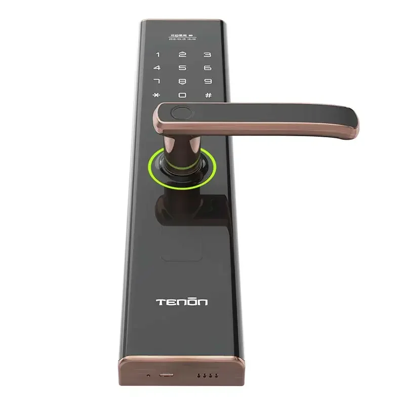 TENON E5 kunci cerdas Digital, kunci cerdas Digital layar OLED biometrik sidik jari, kunci Tiongkok