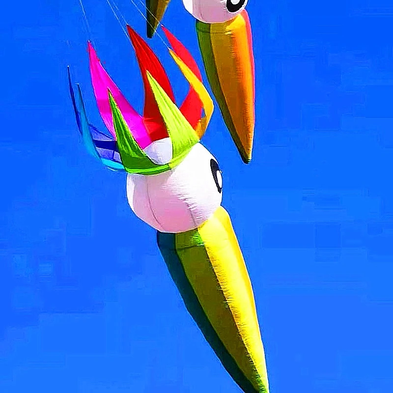 Livraison gratuite cerf-volant carotte calmar cerf-volant jouets de plein air cometas professionnelles cerf volant enfants do basenu ripstop 	   poignée pédale amusante