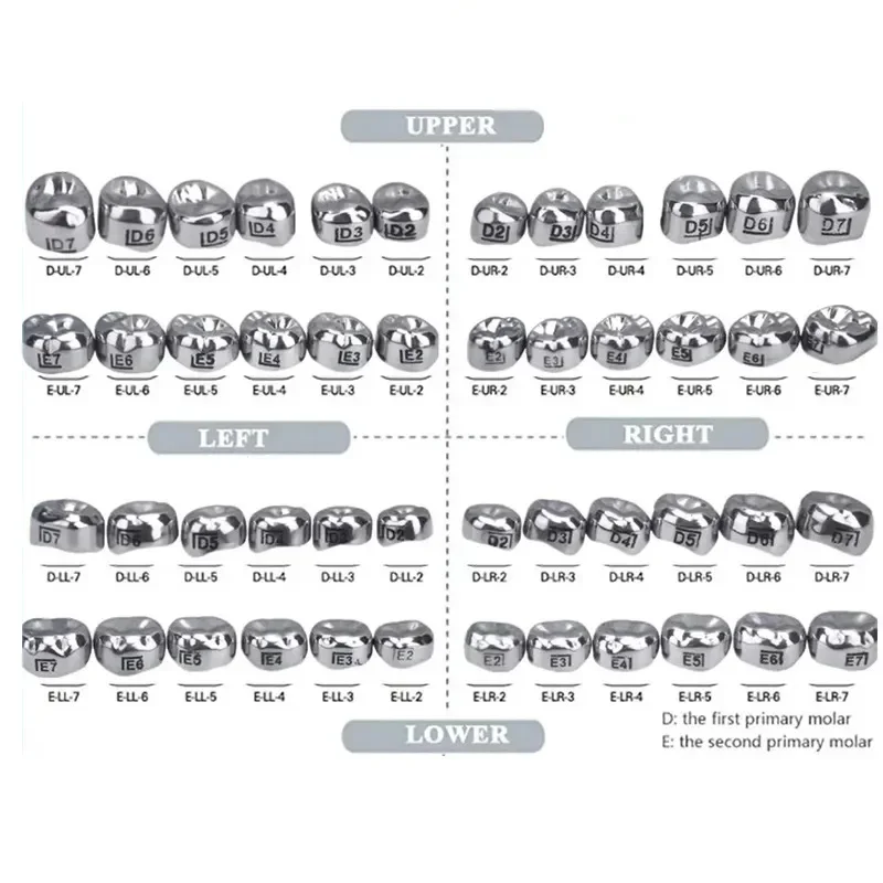 48Pcs/Box Dental Kids Crowns Preformed Metal Crown Stainless Steel Temporary Crowns Orthodontic Dentistry Materials Therapy Tool