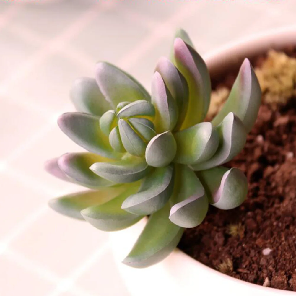 

6Pcs Simulation Succulent Plants Eco-Friendly Home Office Decor Plastic Ornament Realistic Faux Greenery