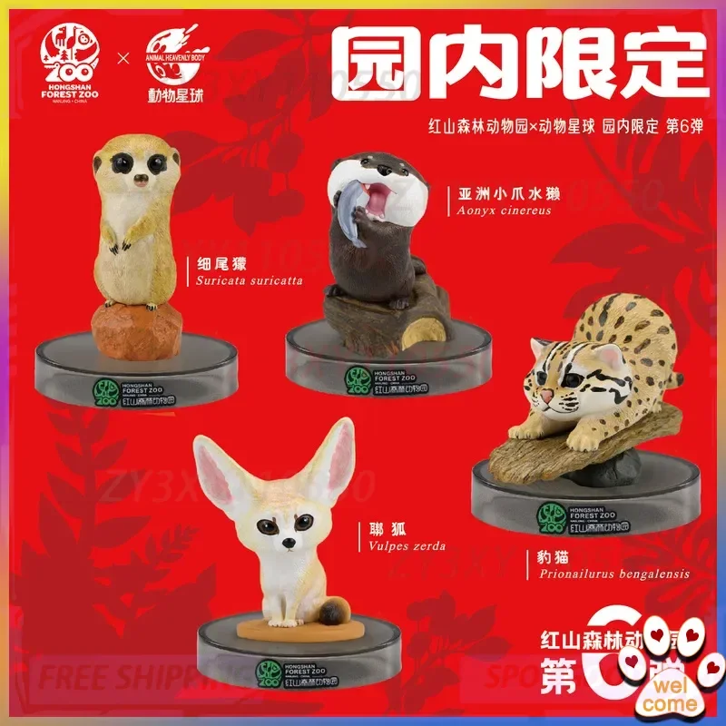 

Ограниченная серия Animal Planet Animal Nebula X Red Mountain Forest Zoo Joint Red Mountain Zoo 6-я слепая коробка