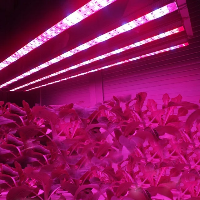 Indoor Hydroponic LED Fluorescent Grow Lights/Grow LED Strip Light Aquarium