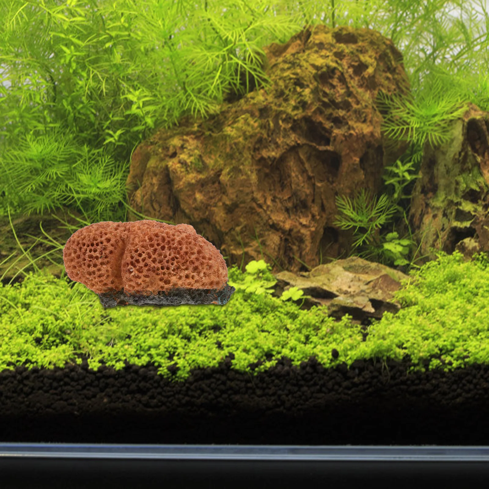 Lifelike Aquarium Coral Decorations Variety of Choices Durable and Longlasting Fish Tank Landscape Decor Fish Tank Decor Mini