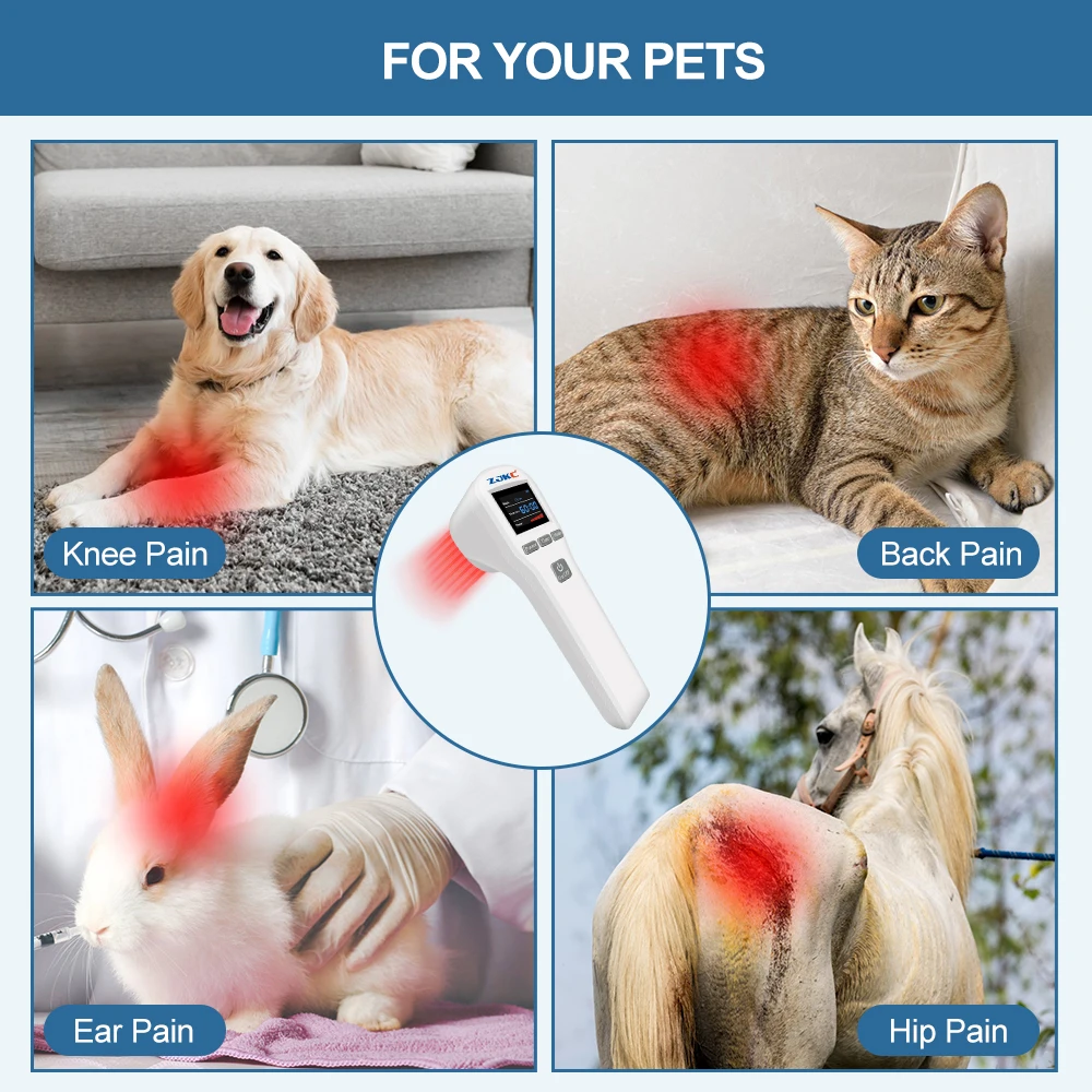 ZJKC Pet Cold Laser Therapy Device for 4×808nm 16×650nm Veterinary Infrared Light Physiotherapy for Dogs Cats Horse Pain Relief