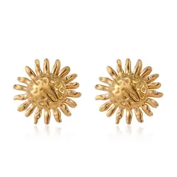 New stainless steel sunflower-shaped earrings design luxury, texture delicate fashion versatile women's earrings