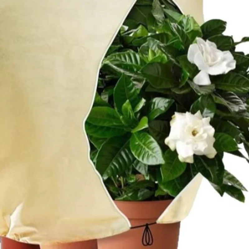 Non-Woven Winter Plant Cover With Zipper Drawstring Frost Protection Bag For Trees Shrubs Against Cold Snow Wind