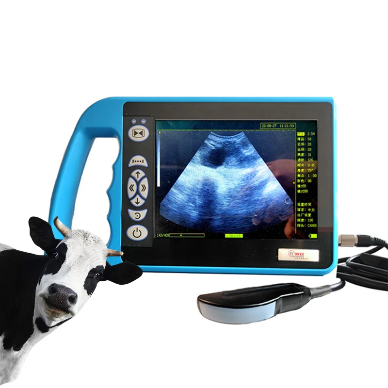 Doppler Ultrasonic Scanner Animal Fetus Testing Dog Cow Horse Ultrasound Scanner Machine With Probes For Clinic