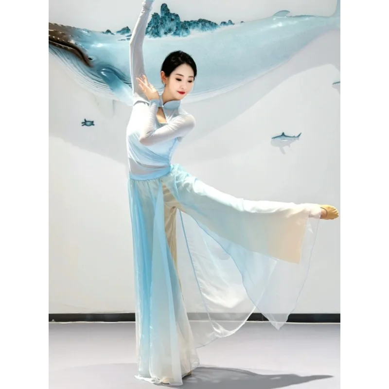 Classical Dance Stand Collar Stretch Gauze Blue Dance Practice Costume Ethnic Pants Skirt Flowing Women's Performance Costume