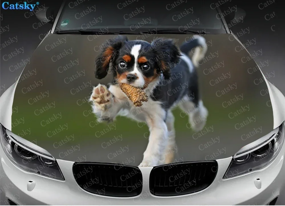 Cavalier King Charles Spaniel Car hood sticker wrapped vinyl film hood  universal painting modification protective film decal