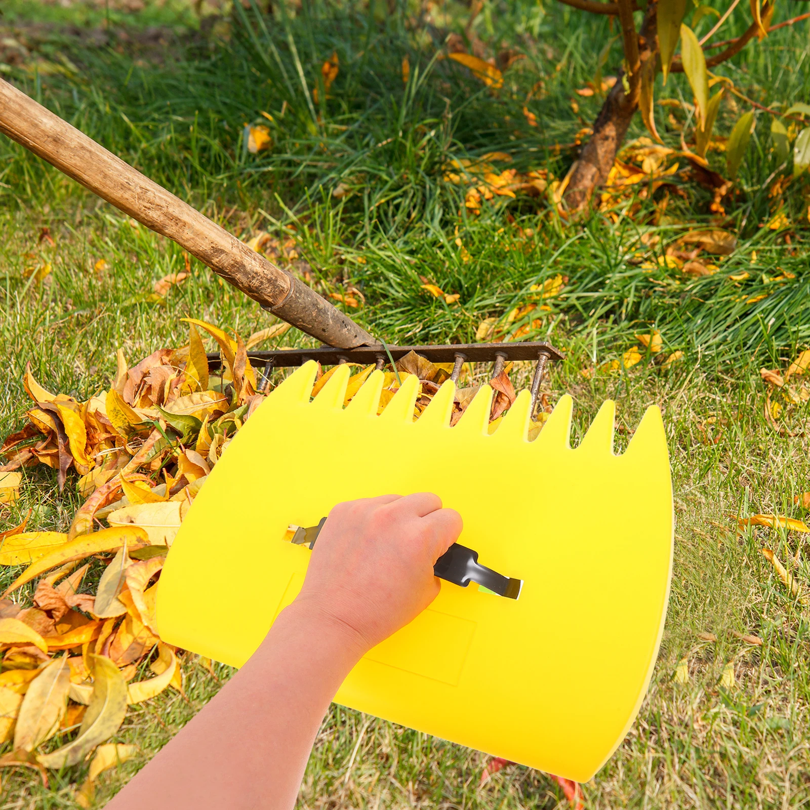 

Fall Leaf Clip Garden Rake Ground Leveling for Gardening Collector Collecting Leaves Raking Lawn Tool