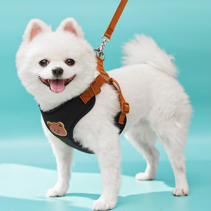 Portable Dog Cat Harness Leash Combo, Cute Bear Pattern Adjustable Vest Harness, Lightweight Outdoor Walking Pet Accessories