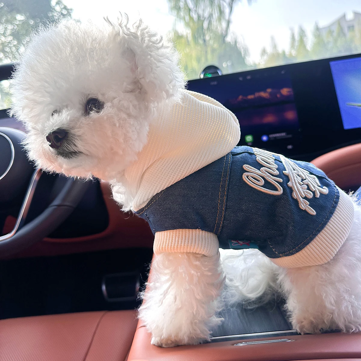 Thumbnail 2 - #16 Latest Puppy Jumpers Offers