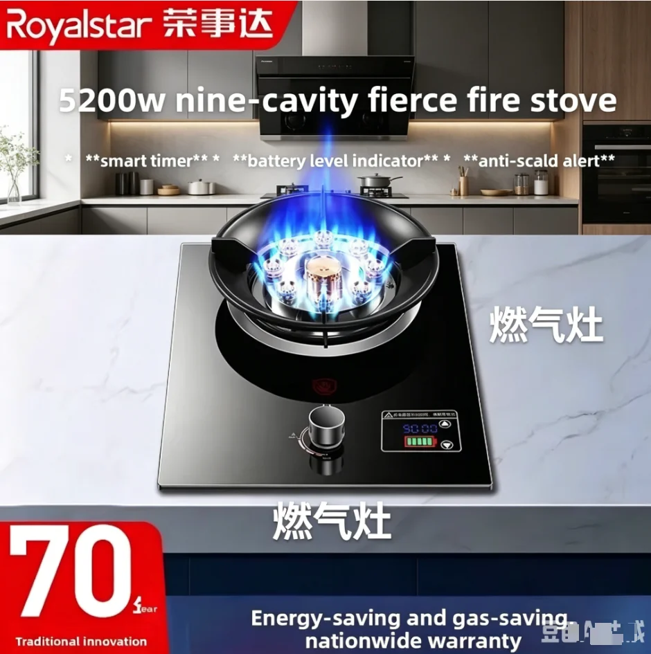 

Skyworth Double Burner Gas Stove Built-In Dual Use for Natural Gas/LPG Household Kitchen Cooking Appliance LYH