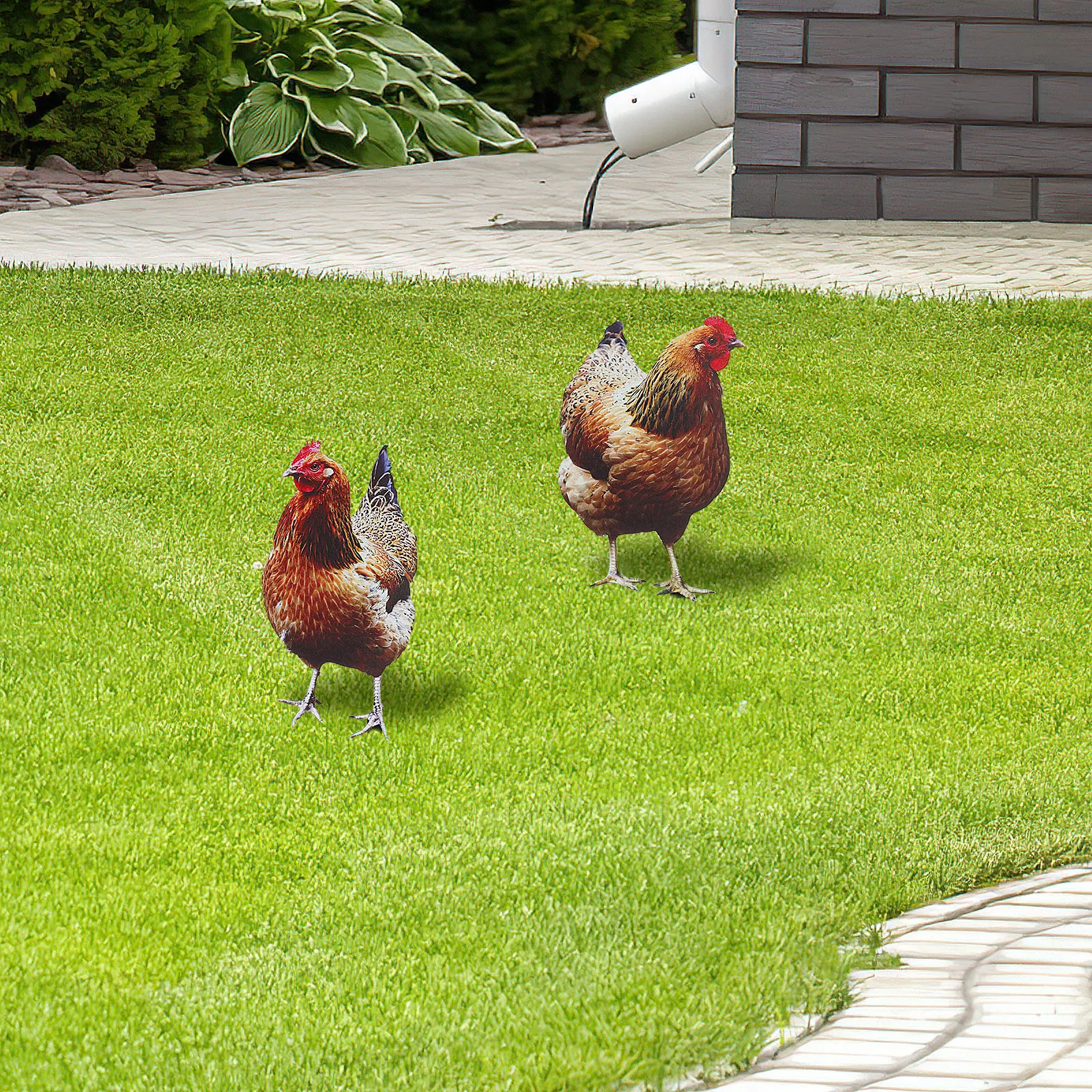 

2 Pcs Sculpture Acrylic Decorative Inserts Decorations Outdoor Garden Hen for outside