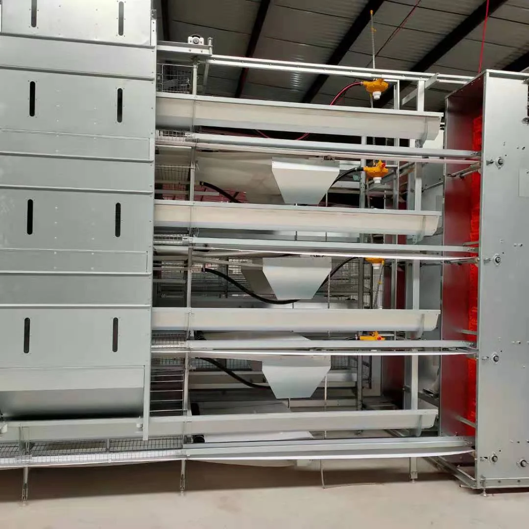 

for-Premium Customizable Layer Chicken Cages For Sale By Zhengzhou Tostrax - Layer Cage*