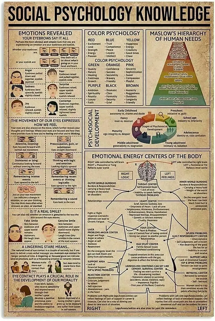 Panneau Métallique « Connaissance en Psychologie Sociale » : Hiérarchie des Besoins Humains de Maslow – Affiche Amusante pour Bureau, Man Cave, Garage