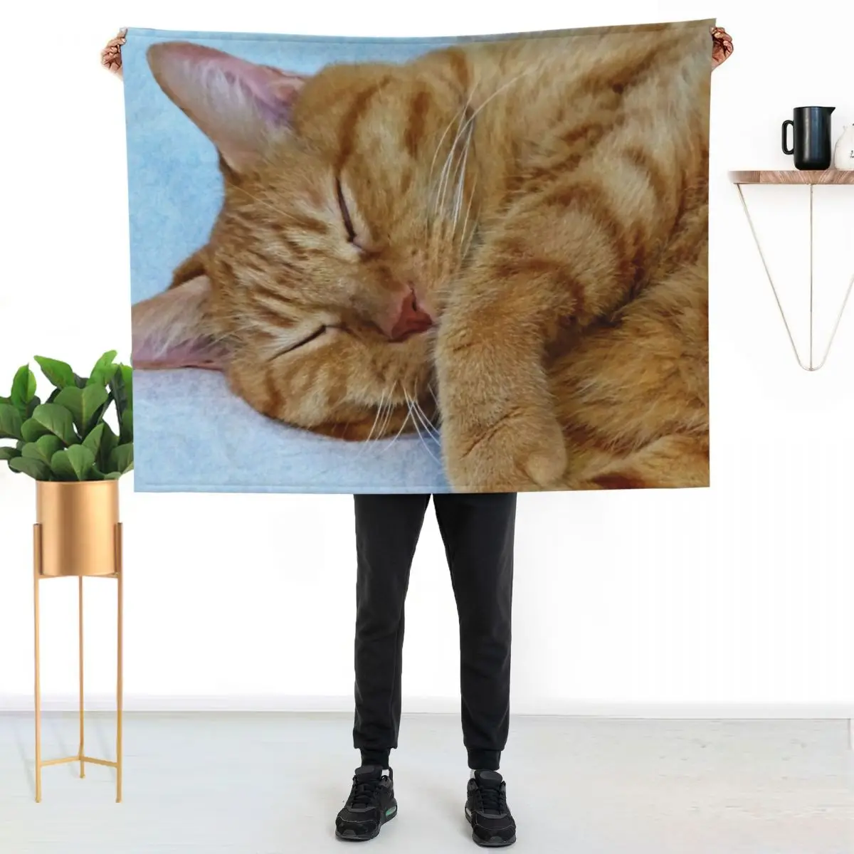 

Sleeping Cat Throw Blanket Stain Resistant Cozy Warm Blanket