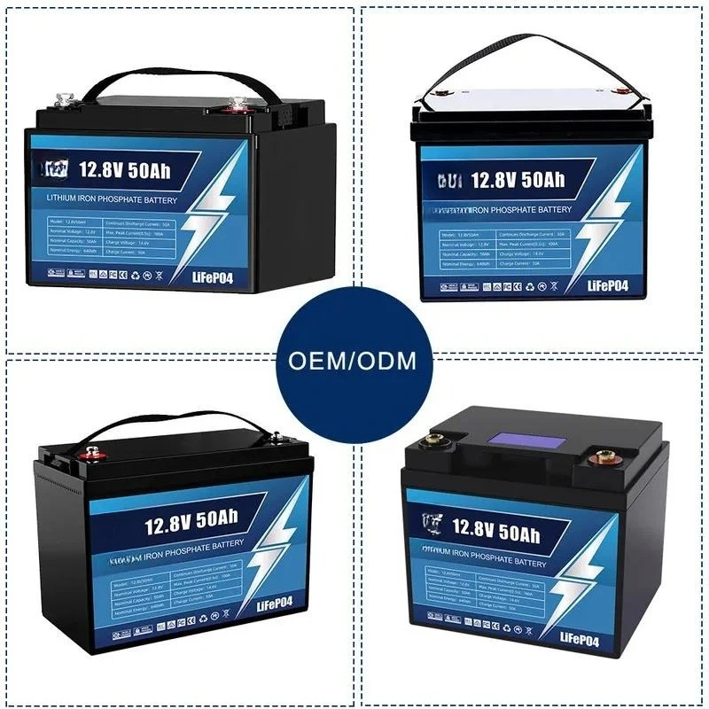 Customized 12V 24V 100Ah 200Ah Lithium Iron Phosphate Battery for Communication Base Station UPS Power Supply RV Energy