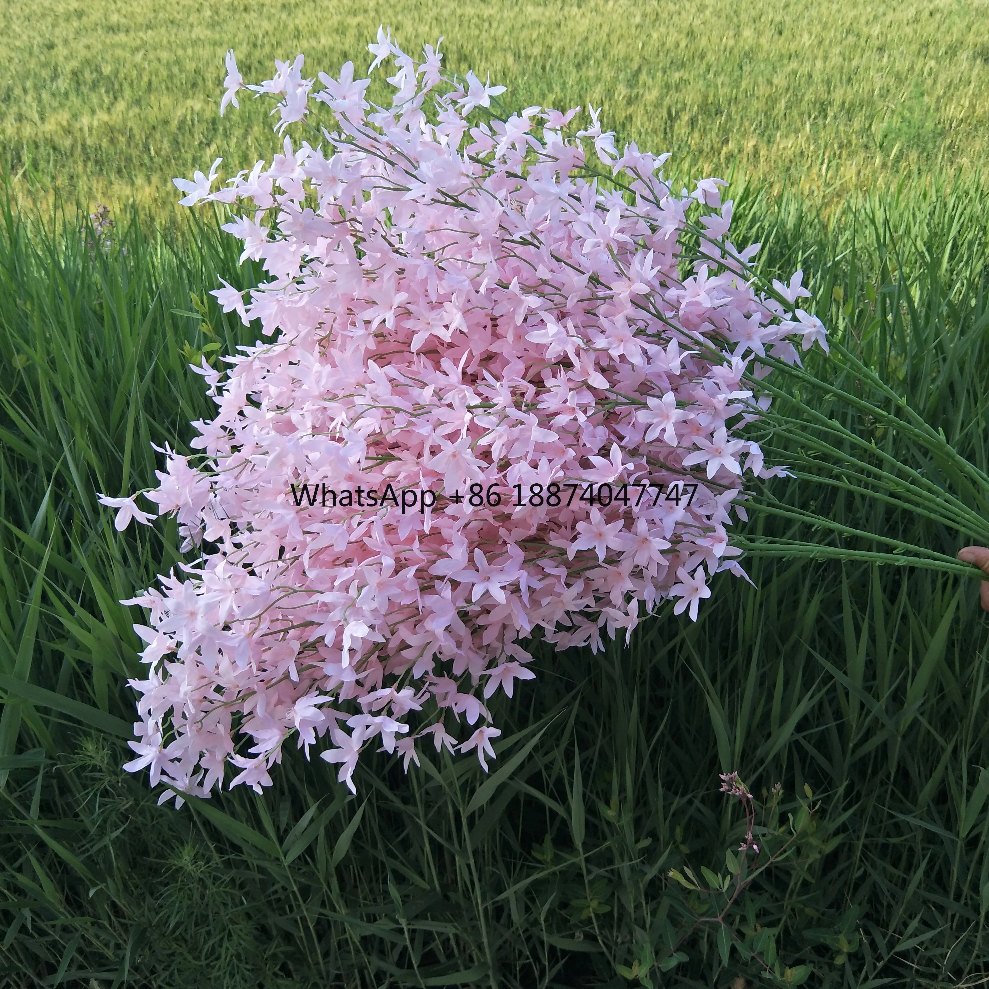 

High Quality China Manufacture Artificial Flowers Wen Xin Orchid Wholesale China