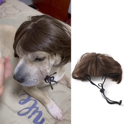 Pet Wigs Cosplay Props Dog Cat Cross-Dressing Hair Set Photography Funny Props Head Accessories Prank Pet Supplies For Hat