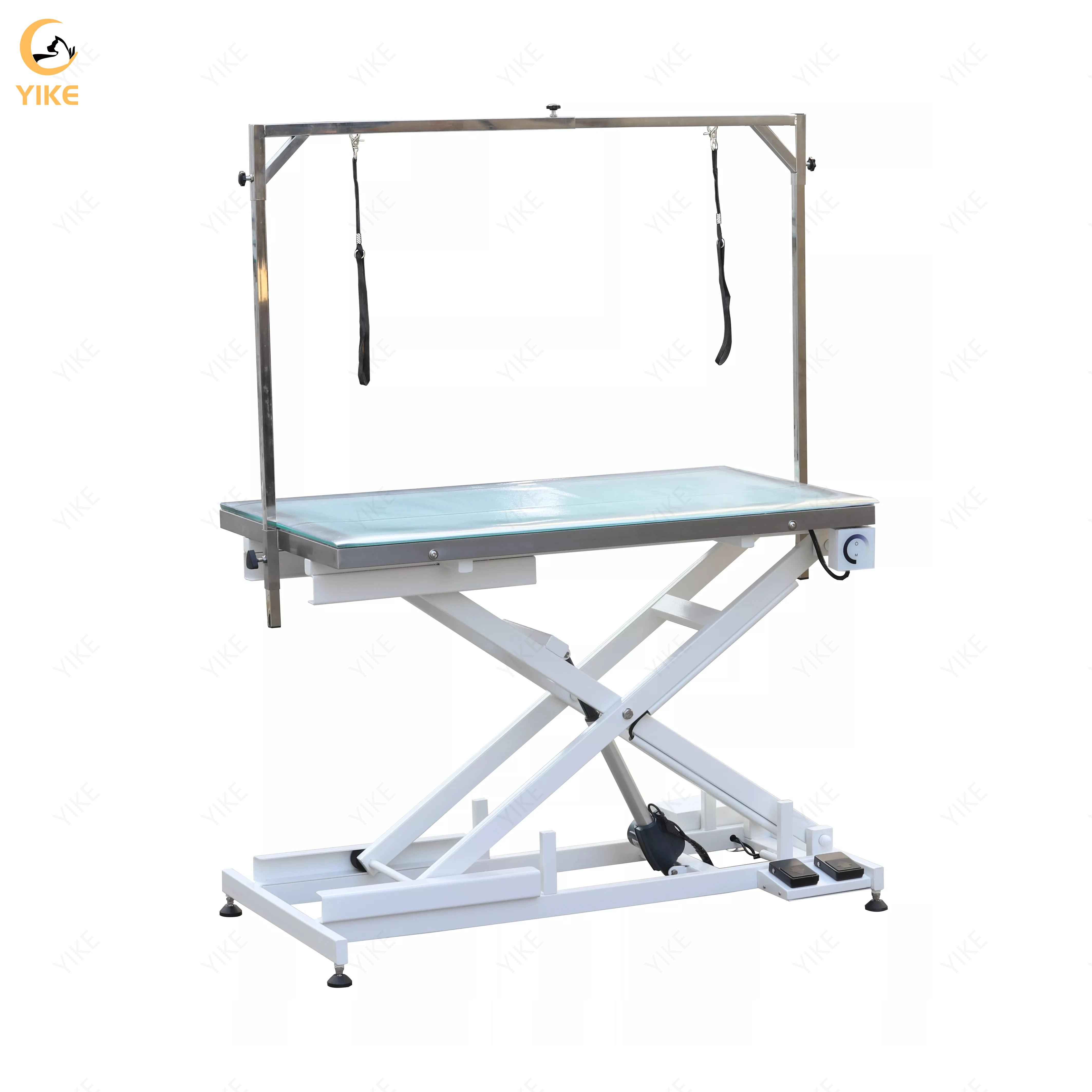 Pet Clinic Veterinary Grooming/Operation Table with Adjustable LED Lighting Electrical Lifting Dog Pet Grooming Table