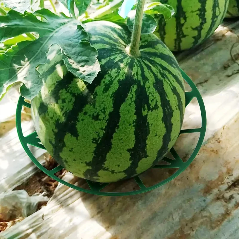 Gardening Melon And Fruit Tray, Household Watermelon Tray,Garden Fruit Anti- Rotting Bracket,Plastic Stable Tray, Watermelon