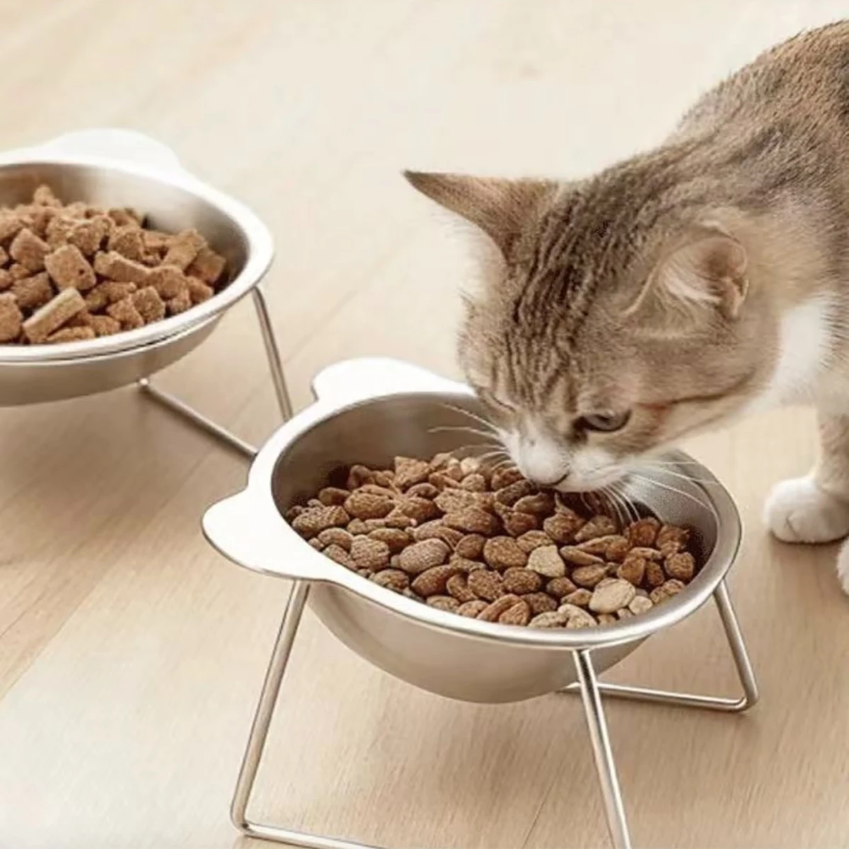 

Наклонная приподнятая миска для кошек из нержавеющей стали 304, ударопрочная, для защиты шеи, 15 см ° Товары для домашних животных: для щенков и котят