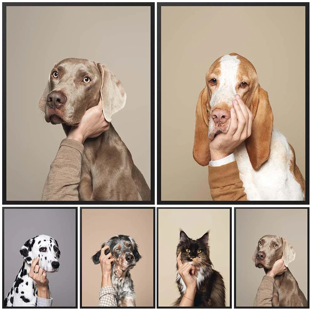 Pet Bracco Dalmatian Weimaraner Maine Coon Wall Pictures For Living Room Nordic Poster Wall Art Canvas Painting Decor Unframed