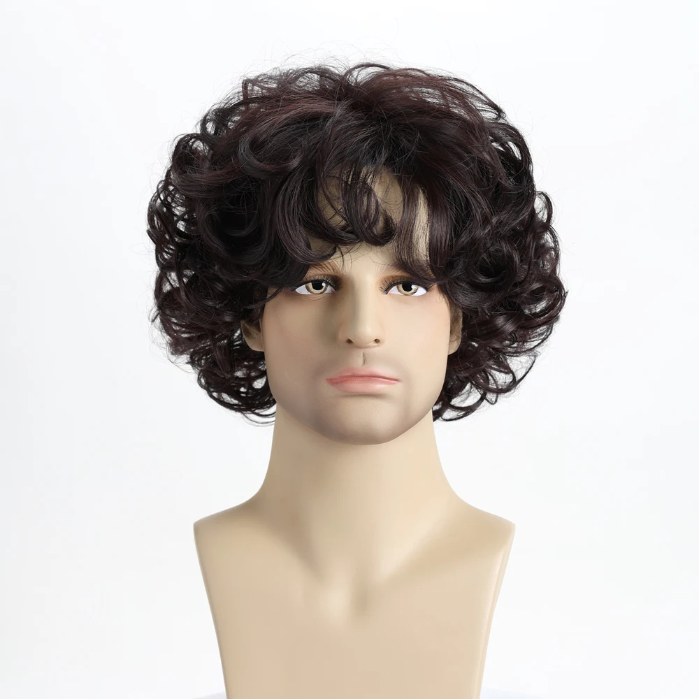 10 Inch Brown Natural Short Curly Wave Synthetic Wig For Male Young Men Hair Heat Resistant Fiber Wigs For Daily use Halloween image 3