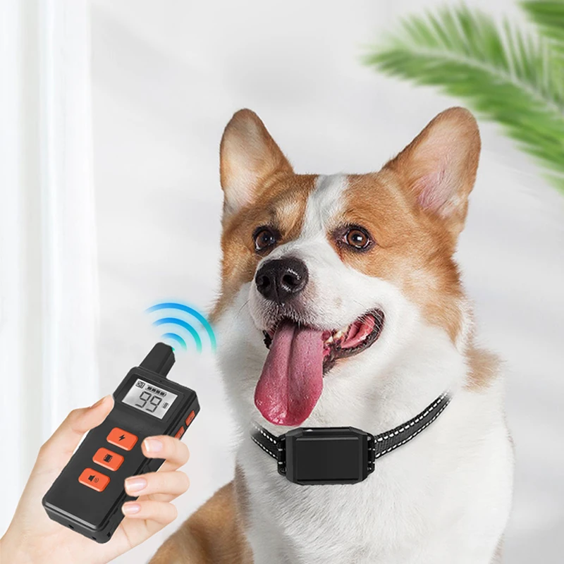 

Dog training collar set with safe silicone contacts, long battery life and anti-accidental touch, pet behavior training