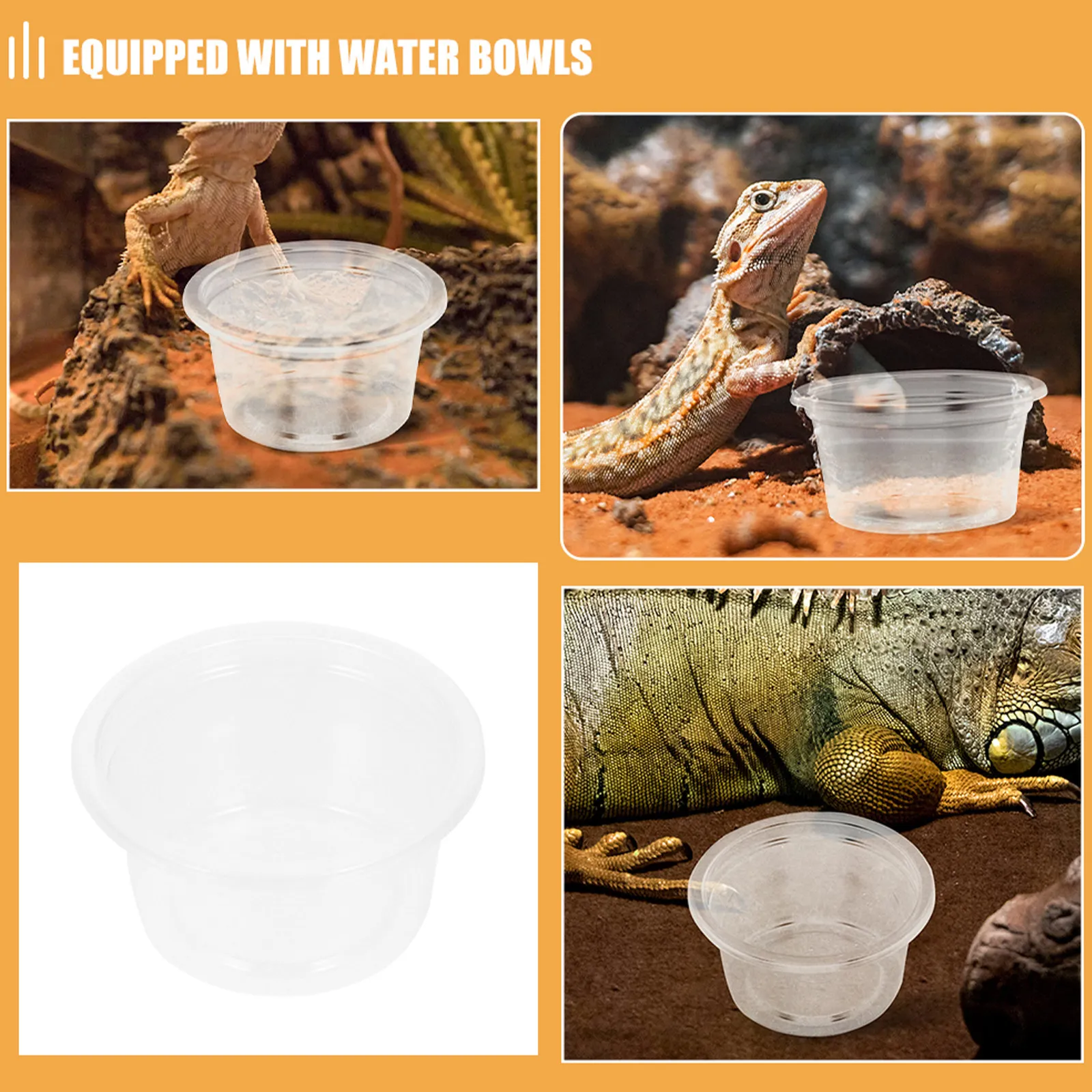 Gecko Food Bowl Feeding Bowls Water Feeder Cups 100 Ct Crested Dish Leopard Plastic Lizard Tank Accessories