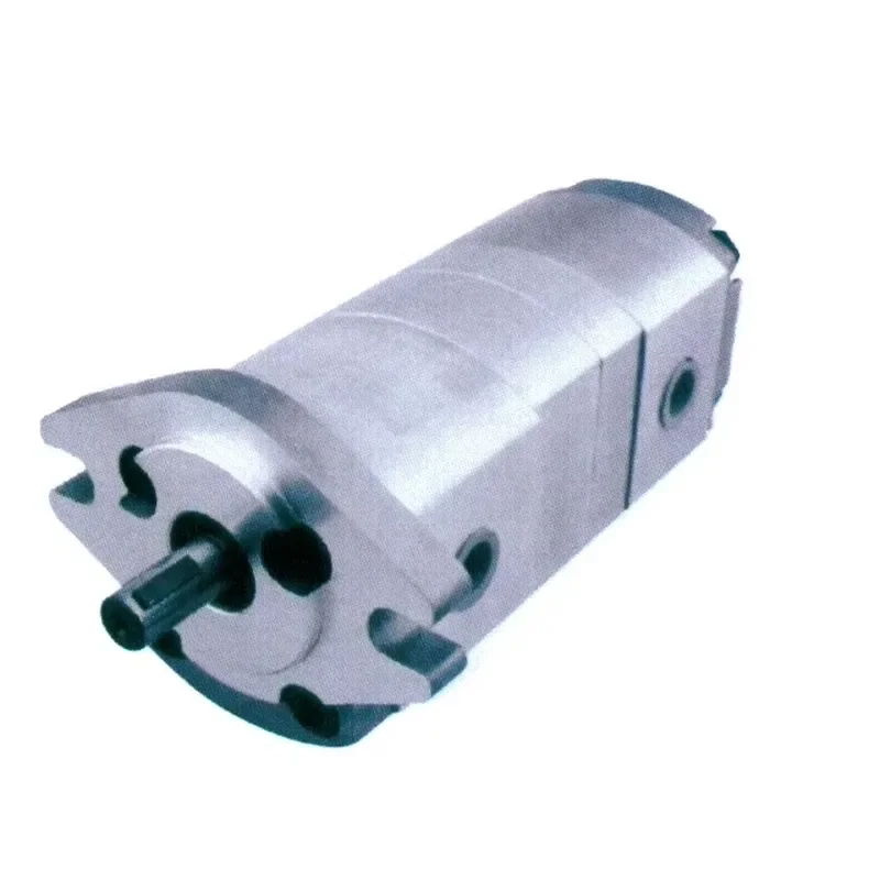 Heavy Duty Double Gear Pump for Civil Construction Machinery Hydraulic System Replacement Part High Pressure Oil Transfer
