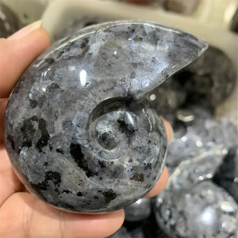 Natural Larvikite Snail Shell Carving Chakra Reiki Healing Statue Fengshui Home Decor Gift - Unique Shell Sculpture view 5