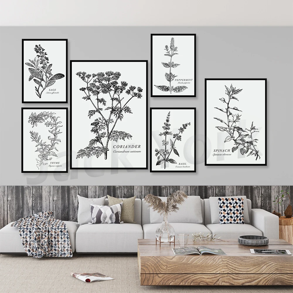 Black and White Spice & Herb Illustration Prints | Simple Wall Art Printable |  Plants | Botanical Latin Name