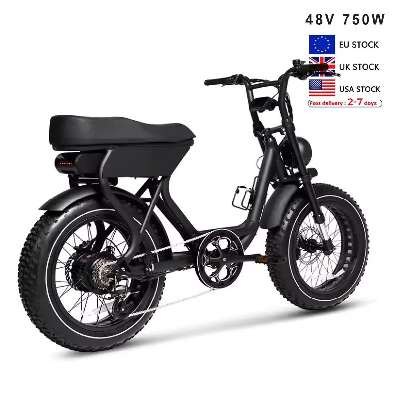 Electric Fat Tire Bike Hydraulic Electric Mountain Bike Brake Ebike Road Ebike EU Warehouse Electric City Bike 250w 750w Fatbike