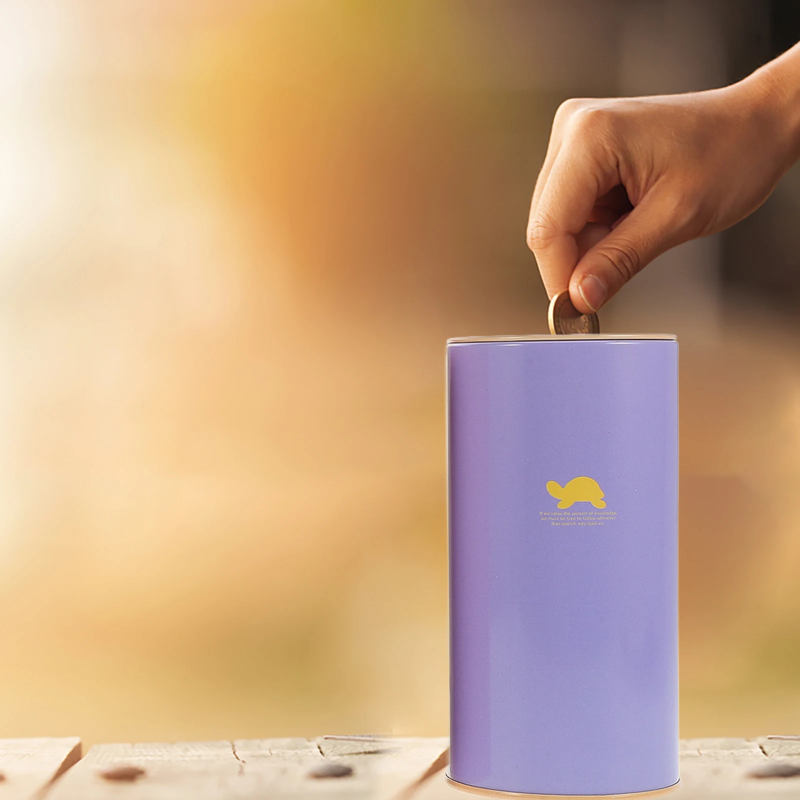 

4Pcs Small Piggy Bank for and Adults Multipurpose Coin Bank for Home Decor Money Saving Box Unbreakable Metal Style