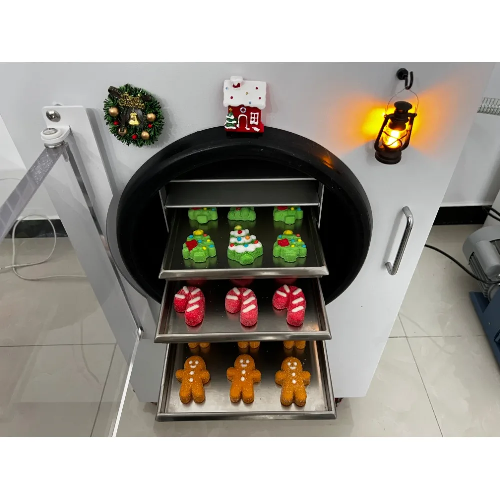 Home Use Small 4Kg 6Kg Freeze Dryer Lyophilizer Processing Vegetables Fruit Powder Candy Freeze Drying Machine for Sale