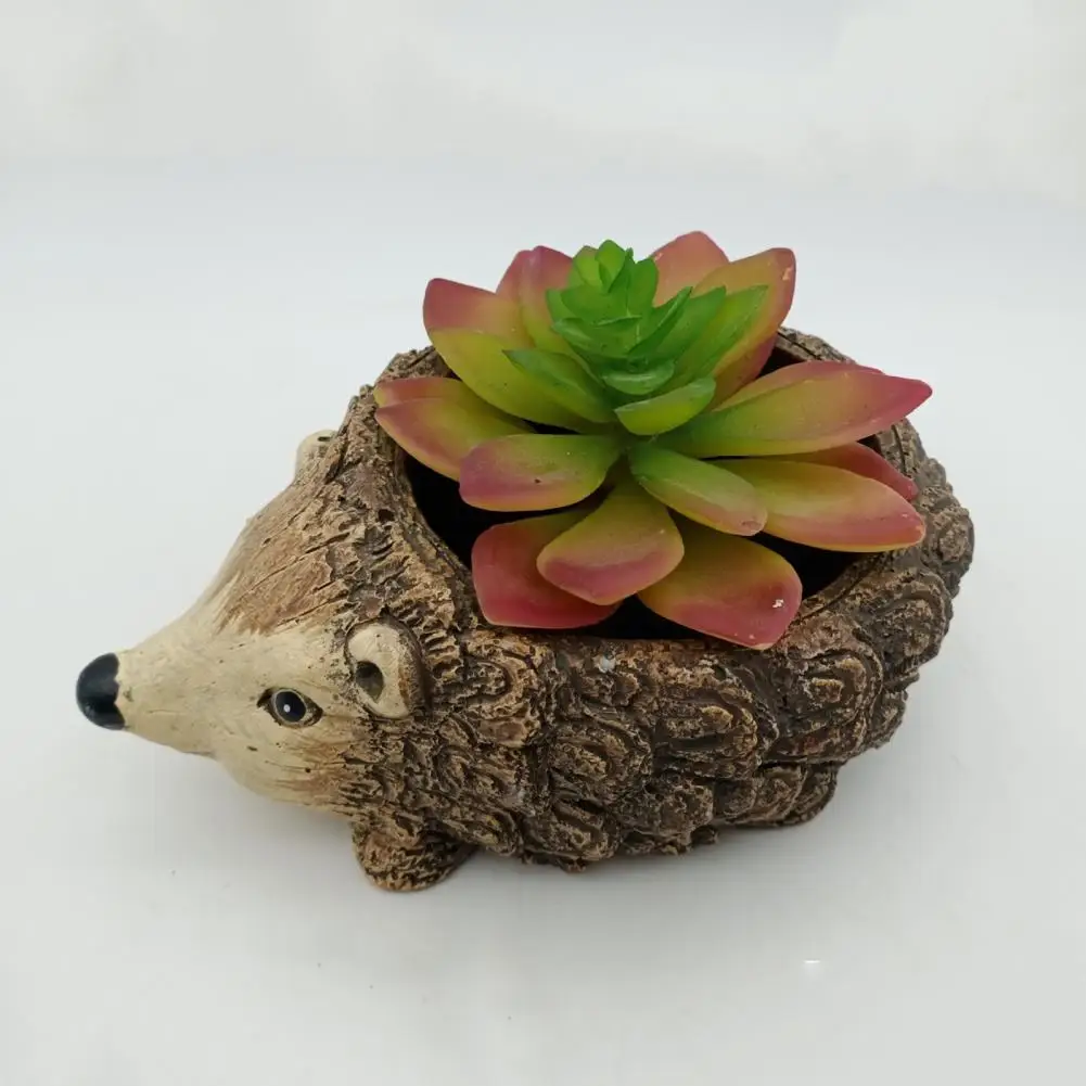 

Cartoon Animal Succulent Pot Creative Cement Tortoise Frog Hedgedog Shaped Planting Pot Turtle Flowerpot Desktop Home Decoration