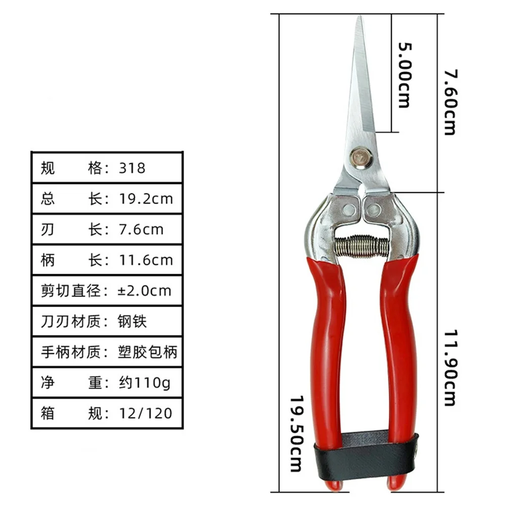 

Fruit Picking Scissors Stainless Steel Gardening Tool Scissors Fruit Picking Fruit Thinning Pruning Shears Tools