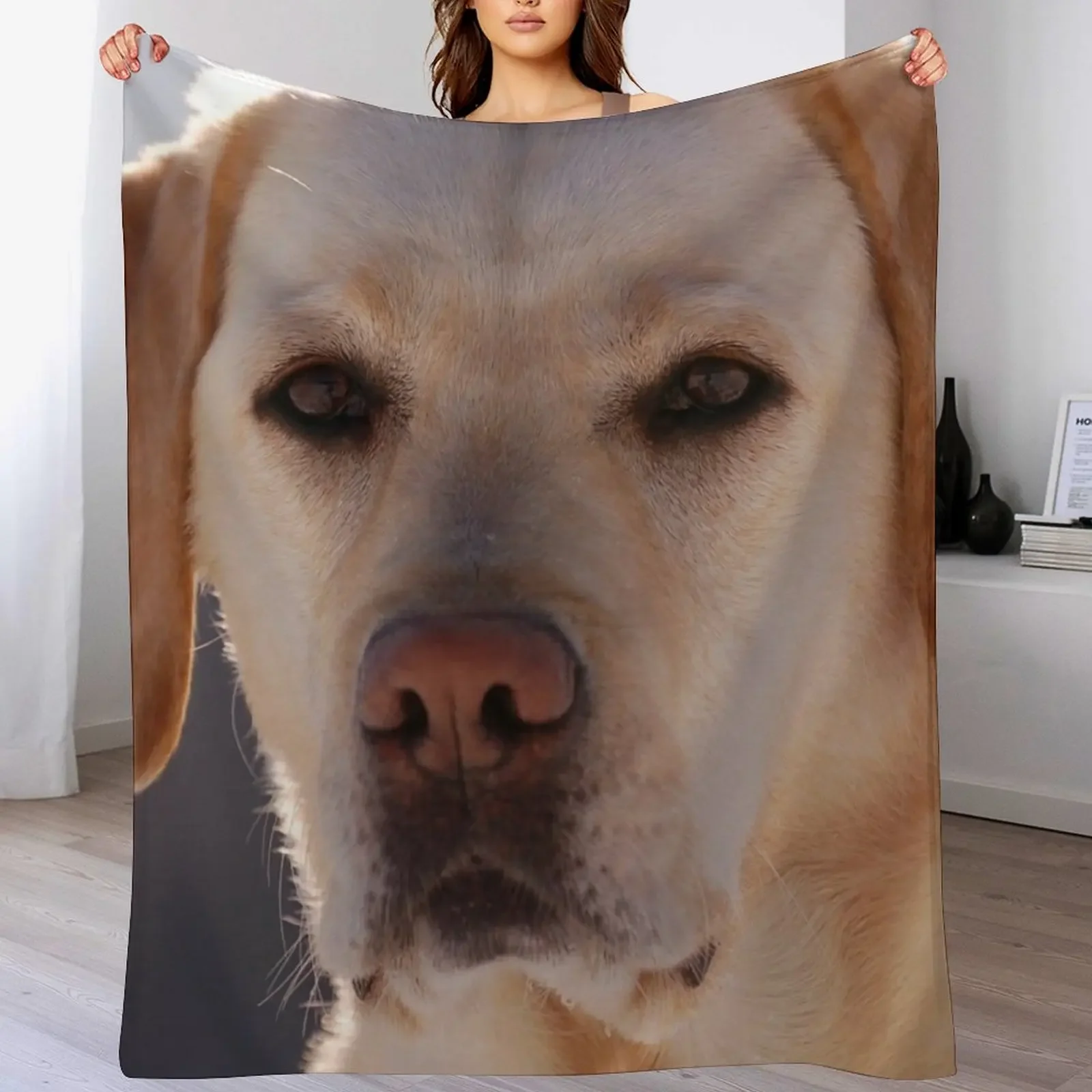 

Portrait of A Golden Labrador Dog Throw Blanket Thin for sofa decorative manga Blankets