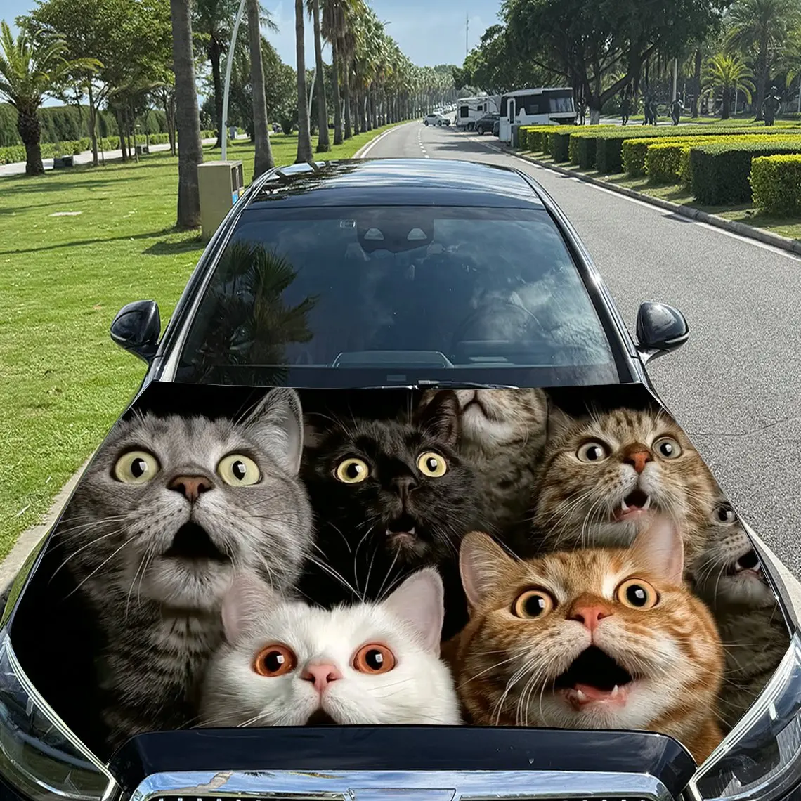 Touche-Pussy Cat Car Hood Stickers - Durable PVC Decals, High-Quality Weather-Resistant Vinyl For Car Exterior Customization, Ed