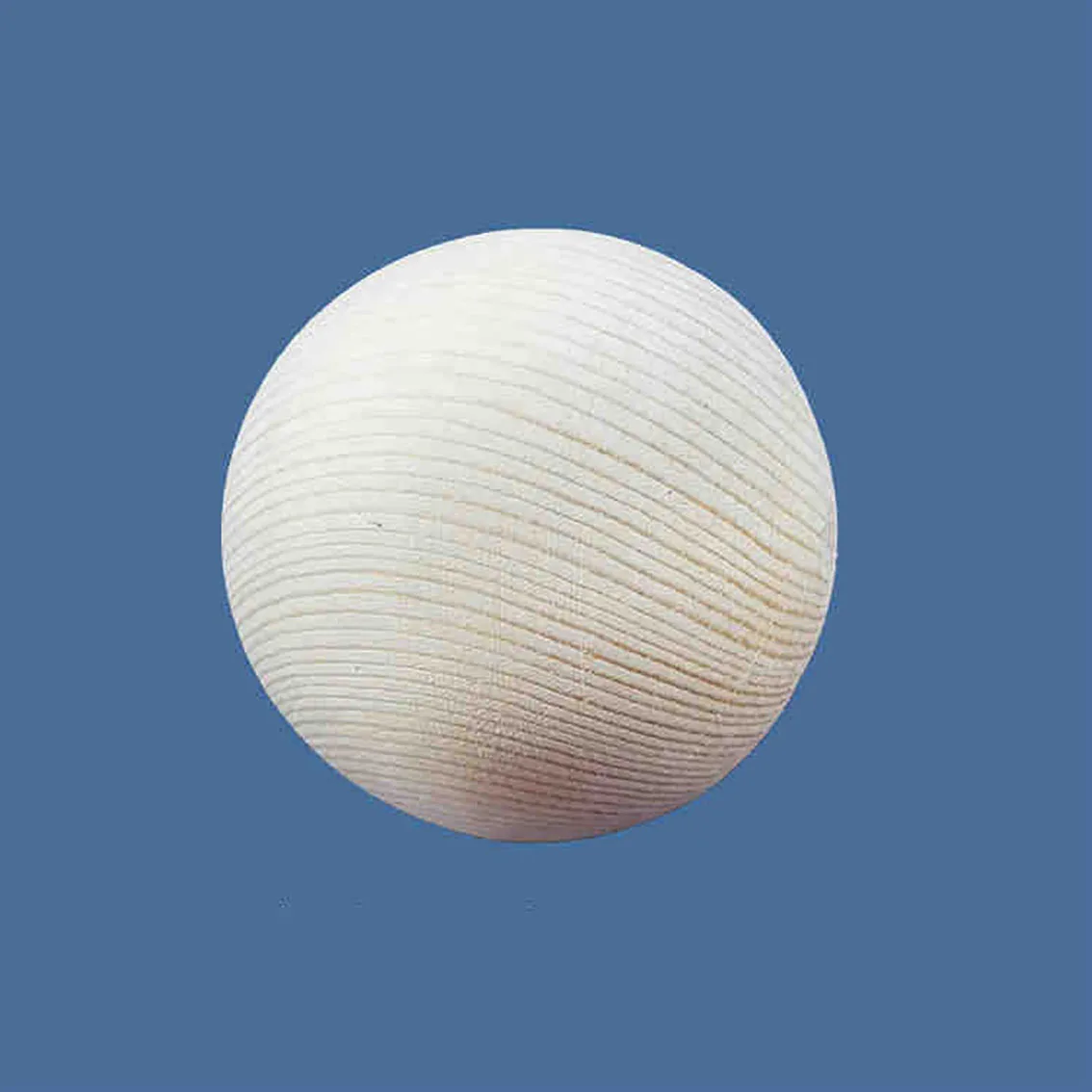 20pièces Ronds de , Ronds de en Bois, Ronds de Serviette2135