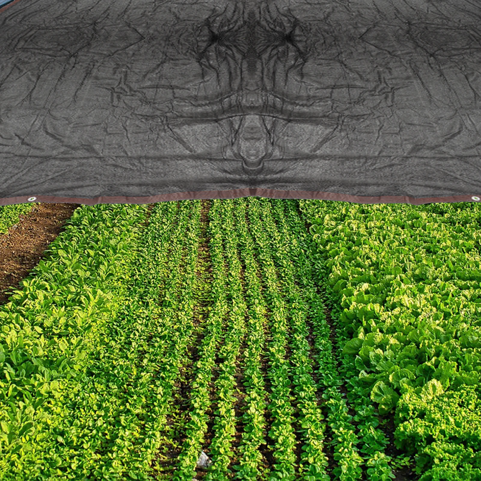 سميكة 8 خياطة التظليل صافي ظلة القماش العزل الحراري 3X6M خفيفة الوزن حماية من الأشعة فوق البنفسجية لساحة حديقة شرفة سقيفة السيارة