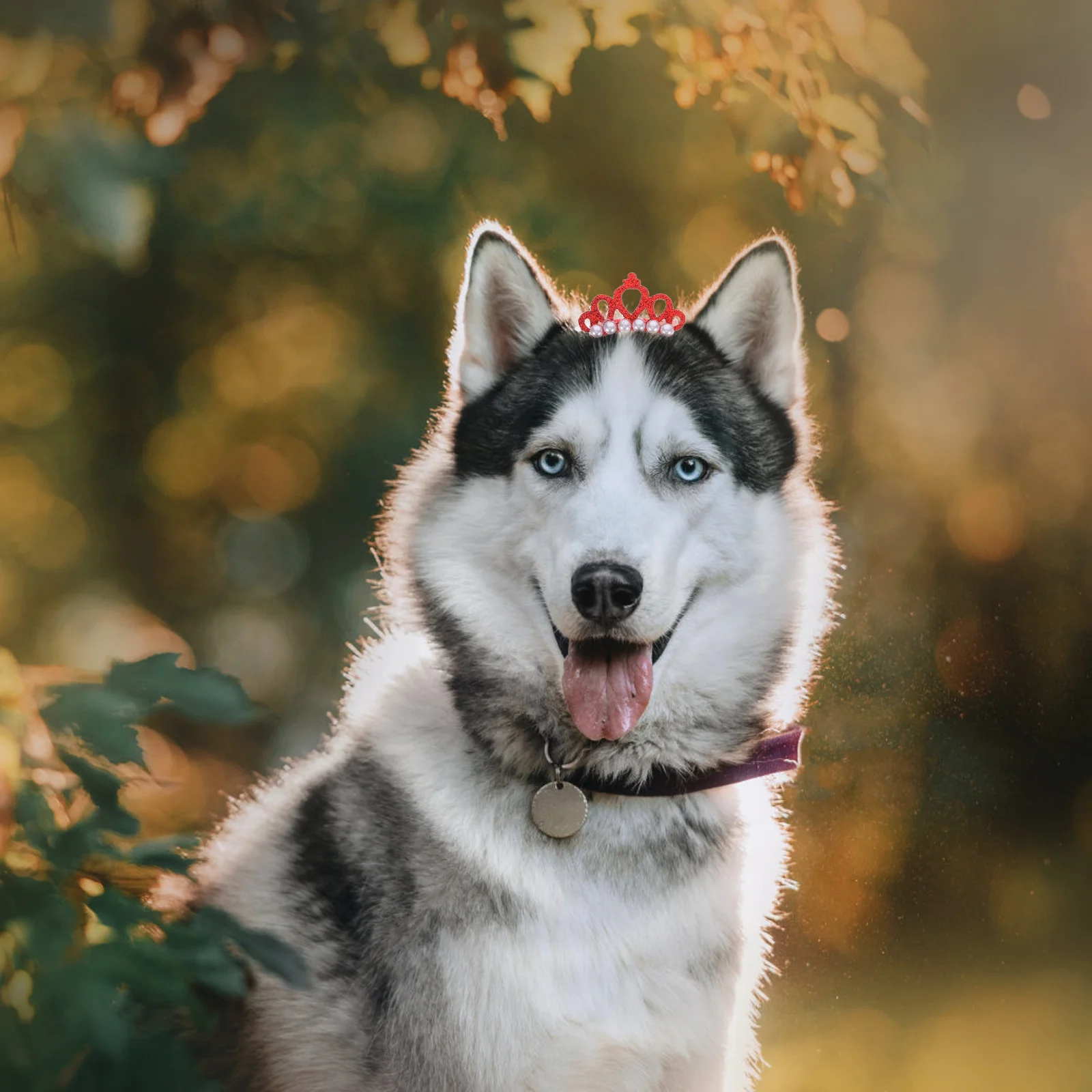 

10 pcs Dog Hair Clips Crown Shape Pearl Pet Headdress For Small Dogs Party Photo Props Hair Accessories Dog Barrette Pet