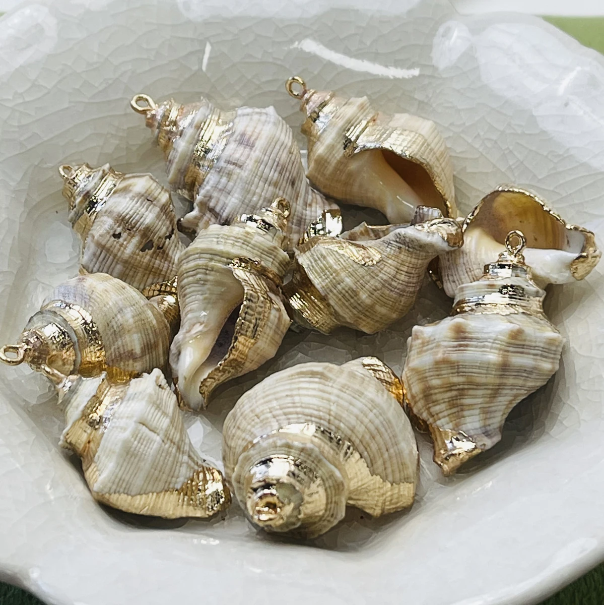 10pc Exquisite Sea Snail Shell Natural Freshwater Conch Shell Pendant Charm For Jewelry Making DIY Necklace Earrings Accessories