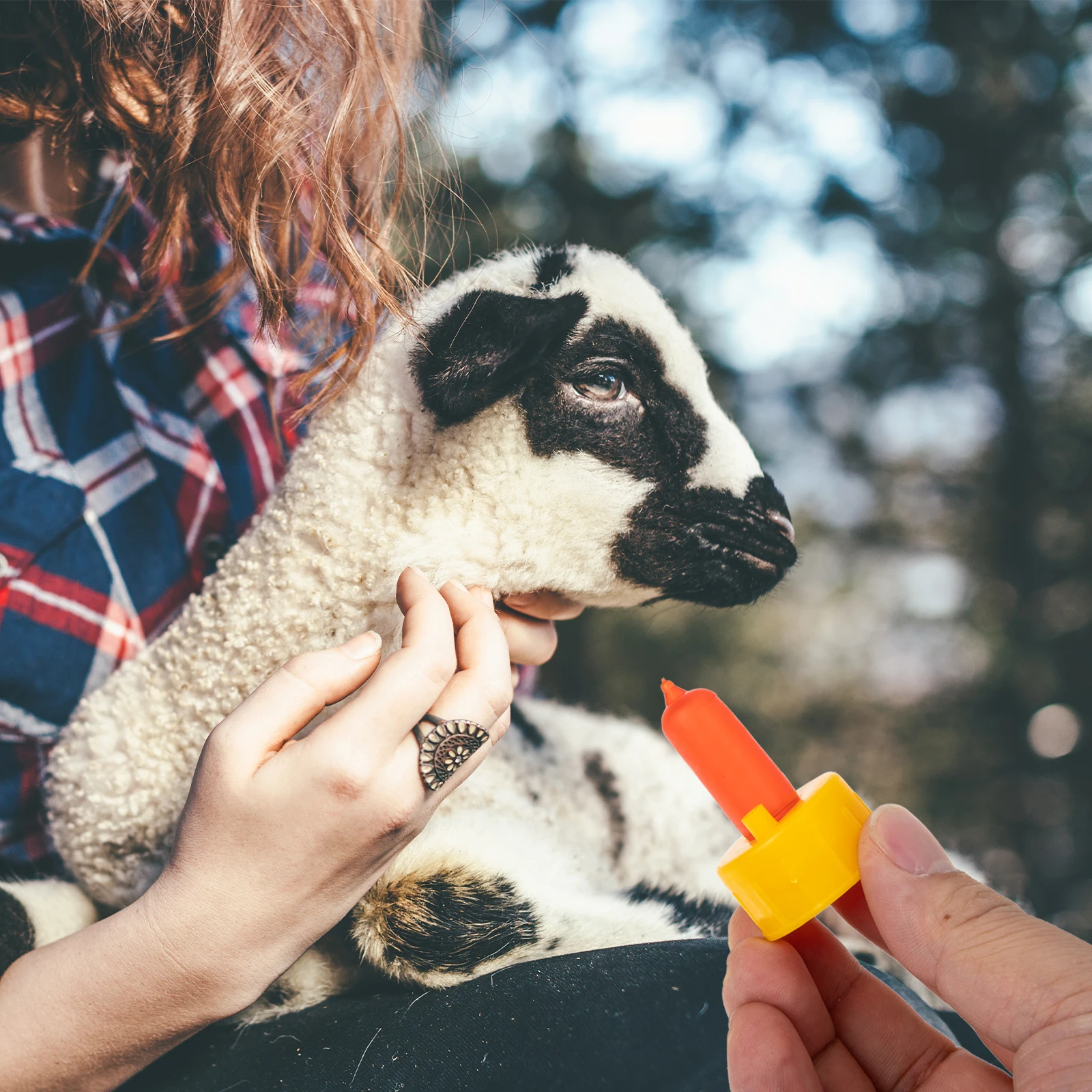 

10pcs Lamb Milk Bottle Nipples Durable Safe Lightweight Feeding Tool for Small Animals Pets Lamp Mule Donkeys Pigs Sheep Horses