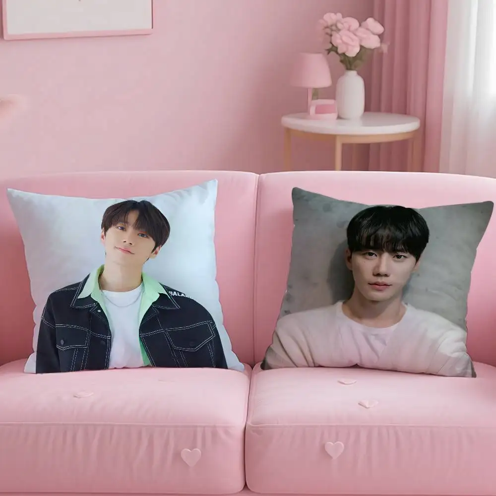 Hot Singer Lee J-Jun Young Pillow Case Anti-dustmite Pillowcase Invisible Zipper Silky Short Plush Sofa Cushion Cover