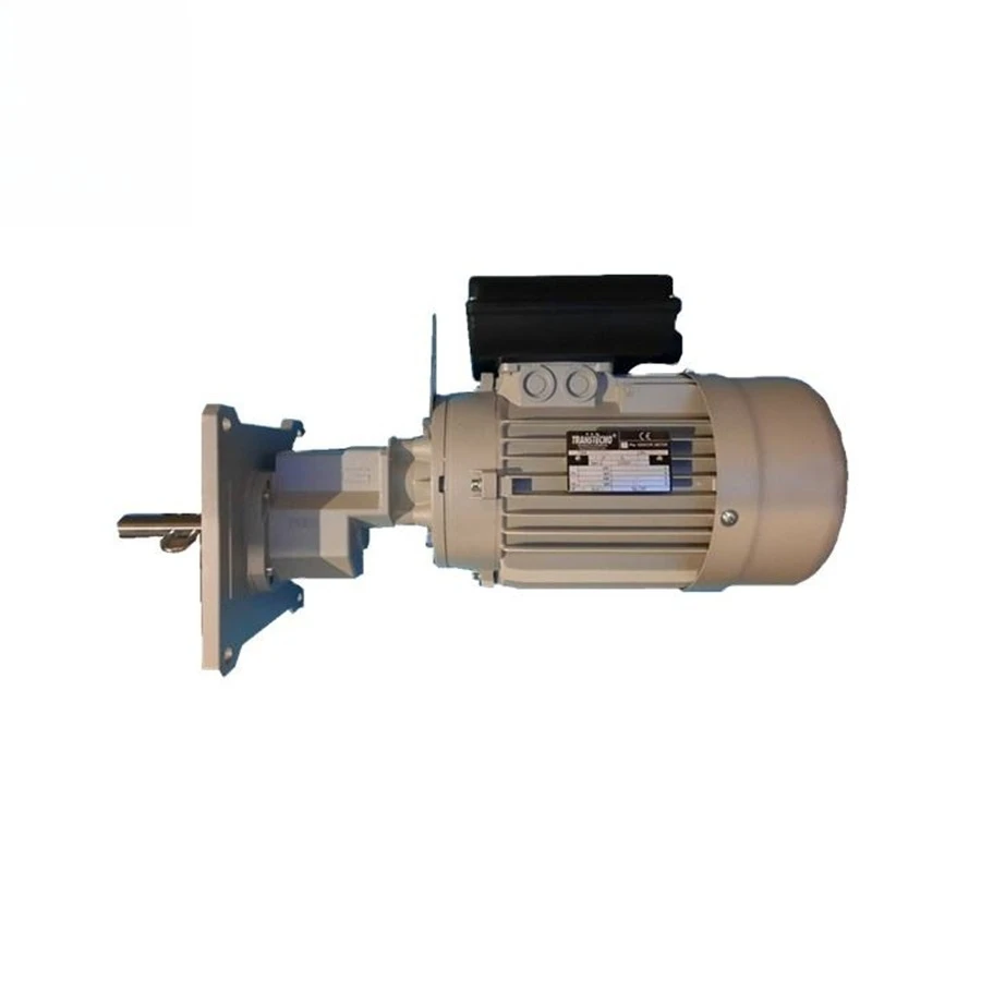 

Wanqing 0.75 KW Italy Gear Motor for Poultry Farm Feeding Line System Equipment for Animal Husbandry